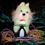 link to songs with animals in title or lyrics
