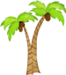 palm tree