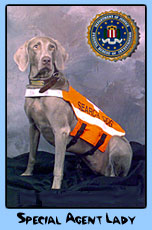 Lady FBI Search & Rescue 