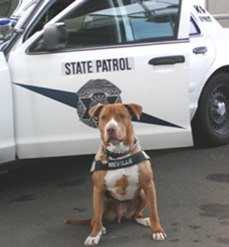 Neville WA State Patrol Dog
