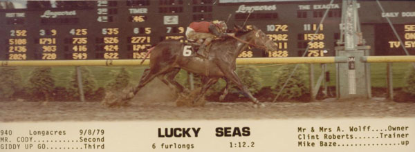 Racehorse Lucky Seas racing