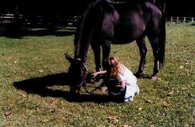 Andrew the horse