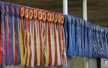 Ribbon