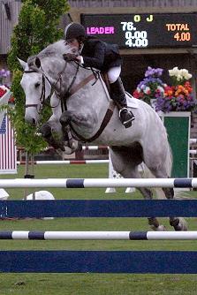 Show Jumping